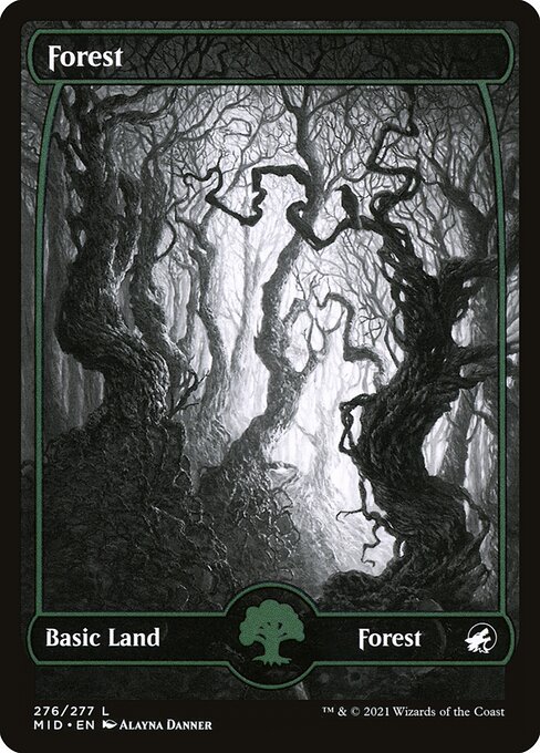 Innistrad: Midnight Hunt - 276 - Forest - Common - C - Foil