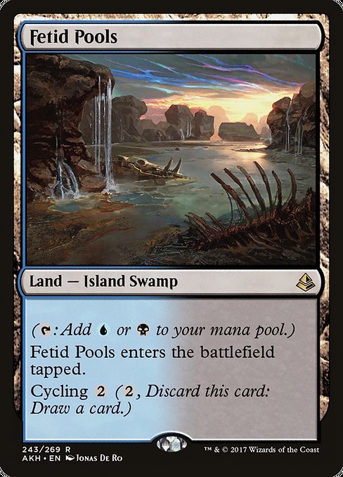 Amonkhet - 243 - Fetid Pools - Rare - C - Foil