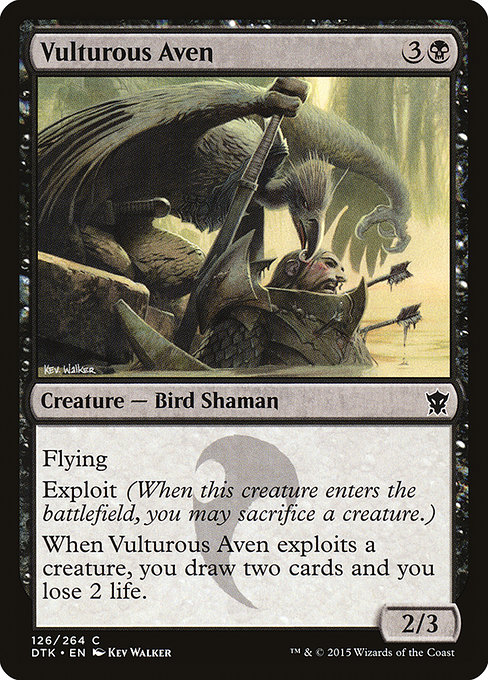 Dragons of Tarkir - 126 - Vulturous Aven - Common - B - Non-foil