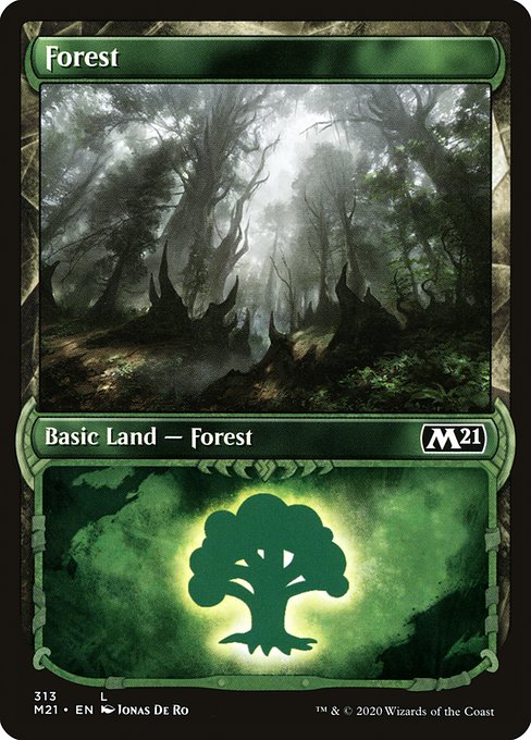 Core Set 2021 - 313 - Forest - Common - C - Foil