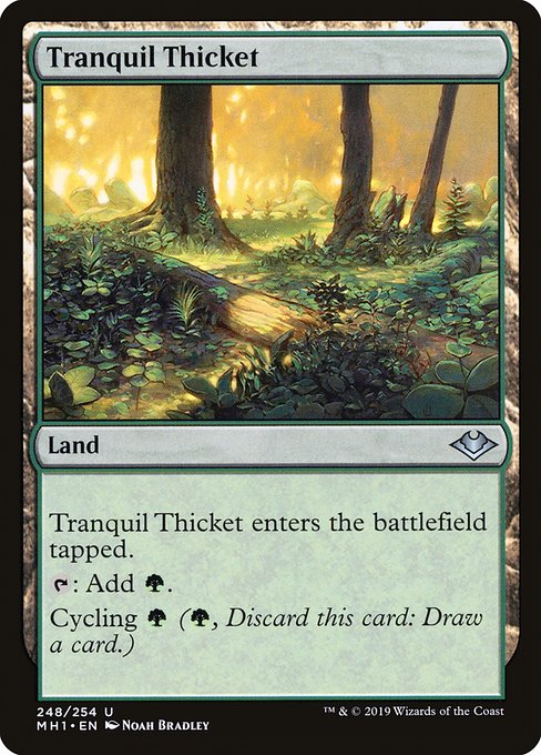 Modern Horizons - 248 - Tranquil Thicket - Uncommon - C - Non-foil
