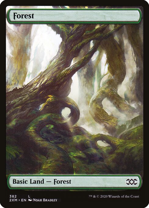 Double Masters - 382 - Forest - Common - C - Foil