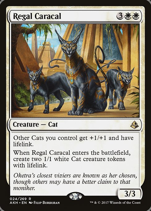 Amonkhet - 24 - Regal Caracal - Rare - W - Non-foil