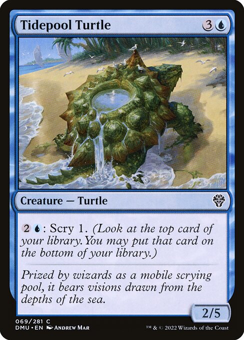 Dominaria United - 69 - Tidepool Turtle - Common - U - Non-foil