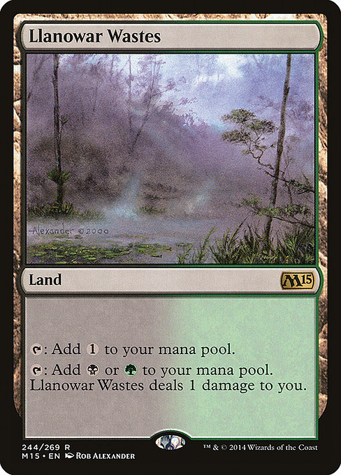 Magic 2015 - 244 - Llanowar Wastes - Rare - C - Non-foil