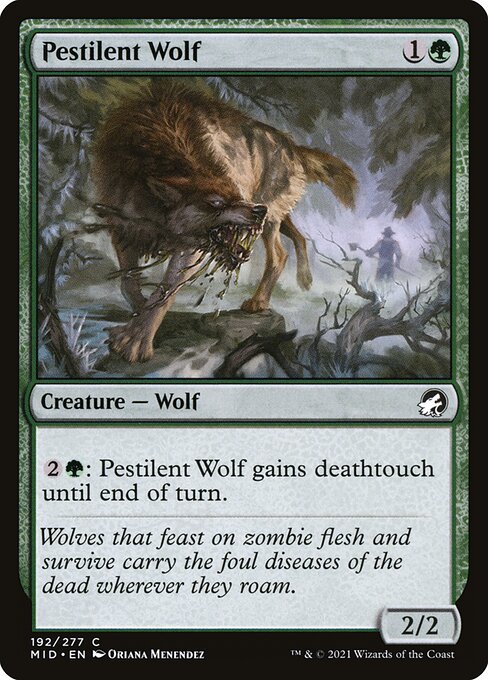 Innistrad: Midnight Hunt - 192 - Pestilent Wolf - Common - G - Foil