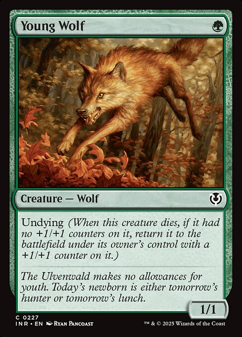 Innistrad Remastered - 227 - Young Wolf - Common - G - Non-foil