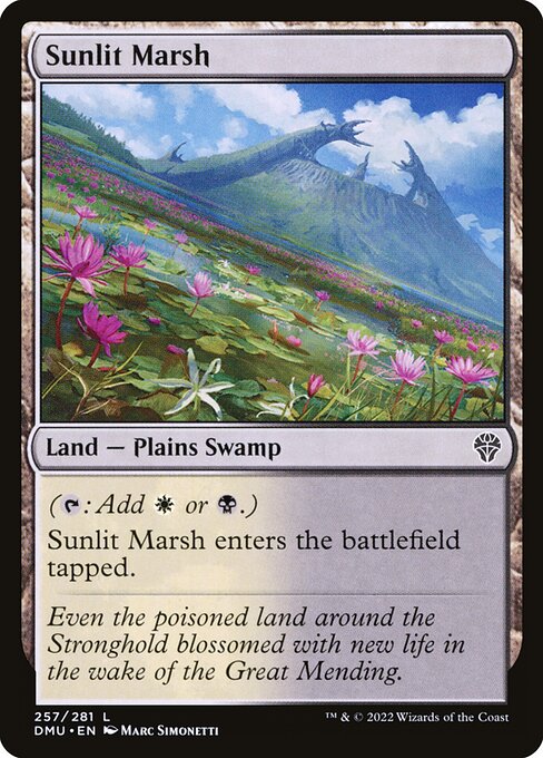 Dominaria United - 257 - Sunlit Marsh - Common - C - Non-foil